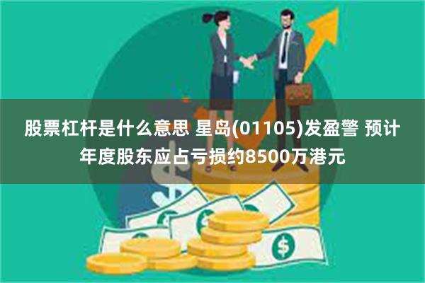 股票杠杆是什么意思 星岛(01105)发盈警 预计年度股东应占亏损约8500万港元