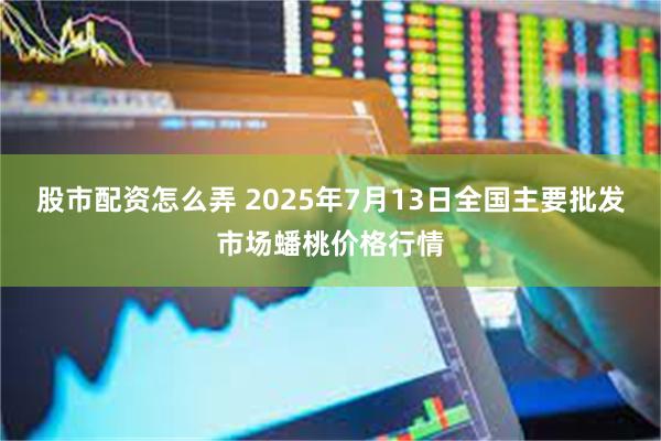 股市配资怎么弄 2025年7月13日全国主要批发市场蟠桃价格行情