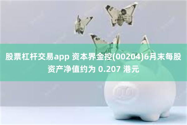 股票杠杆交易app 资本界金控(00204)6月末每股资产净值约为 0.207 港元