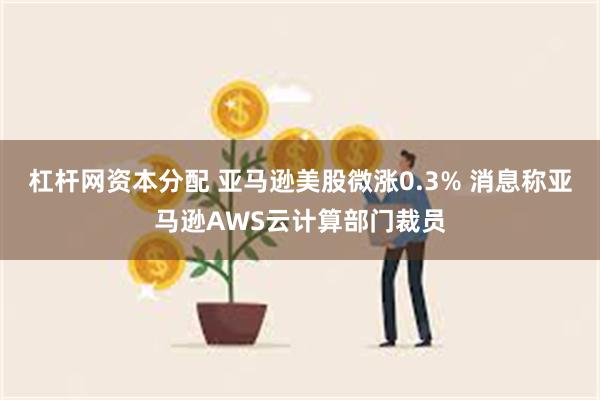 杠杆网资本分配 亚马逊美股微涨0.3% 消息称亚马逊AWS云计算部门裁员