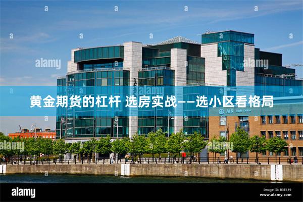 黄金期货的杠杆 选房实战——选小区看格局