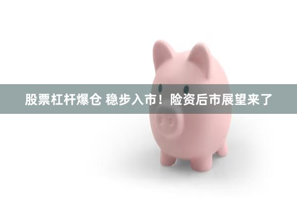 股票杠杆爆仓 稳步入市！险资后市展望来了