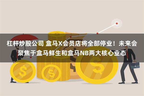 杠杆炒股公司 盒马X会员店将全部停业！未来会聚焦于盒马鲜生和盒马NB两大核心业态