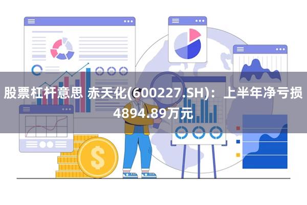 股票杠杆意思 赤天化(600227.SH)：上半年净亏损4894.89万元