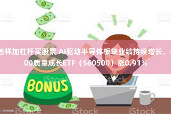 怎样加杠杆买股票 AI驱动半导体板块业绩持续增长，500质量成长ETF（560500）涨0.91%